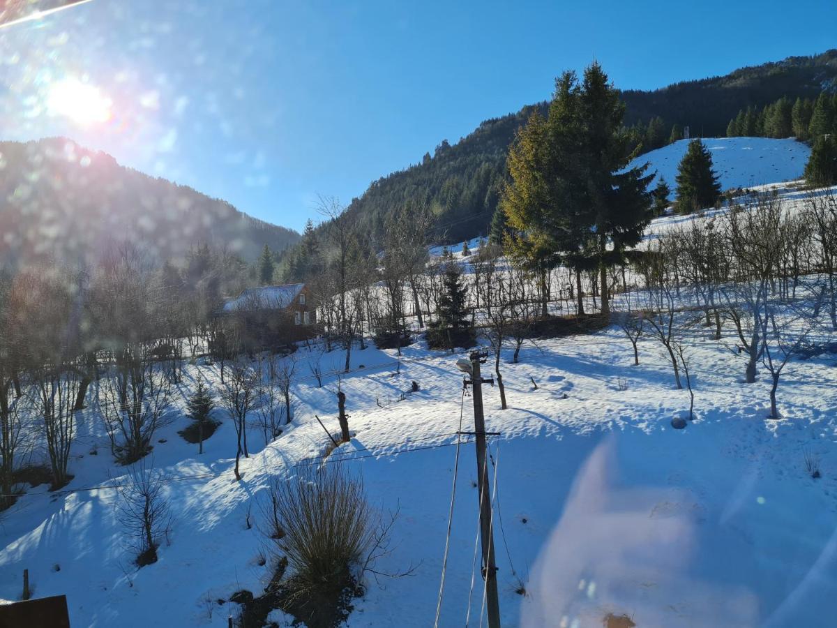 Penzion Mala Fatra U Durka Žilina Exteriör bild